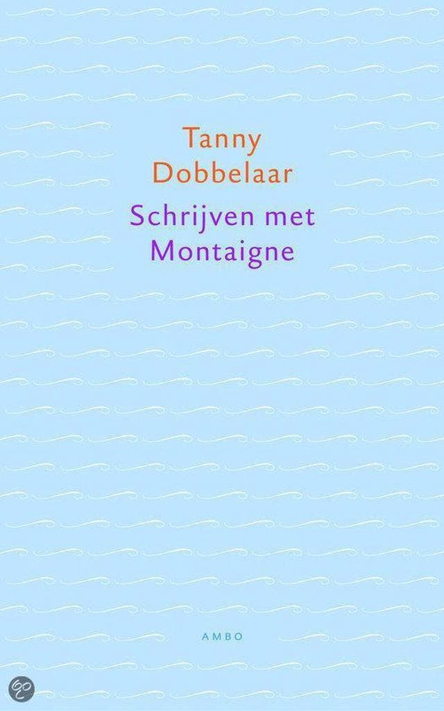 Schrijven met Montaigne 9789026319150 T. Dobbelaar, Boeken, Literatuur, Gelezen, Verzenden