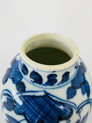 Paar Kangxi-periode Blauw-witte Druiven & Bloemen