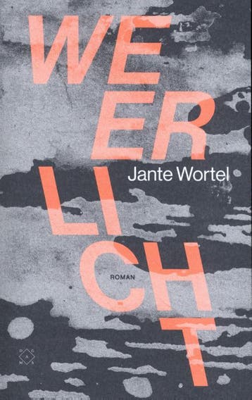 Weerlicht 9789493168848 Jante Wortel, Verzenden, Jante Wortel