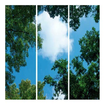 Wolk-bos plafond Fotoprint verdeeld over 3 panelen 1195 x, Verzenden, Nieuw