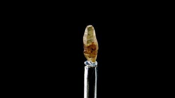 Saffier - Sri Lanka - Hoogte: 1.3 cm - Breedte: 0.5 cm- 0 g