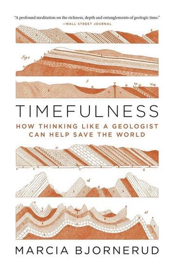 Timefulness 9780691202631 Marcia Bjornerud, Verzenden, Marcia Bjornerud