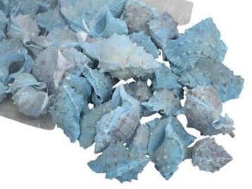White Chimman Schelpen Blauw 500 gram, Nieuw