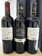 2016 , 2017 & 2019 Sociando-Mallet - Haut-Médoc - 3 Flessen, Nieuw