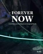 The forever now 9780870709128 Laura Hoptman, Verzenden, Laura Hoptman
