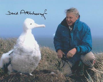 TV and Documentary Legend - Signed by Sir David Attenborough, Verzamelen, Film en Tv, Nieuw