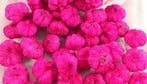 Beachfruit paras peepal mini pompoentjes wild apple cyclaam, Huis en Inrichting, Nieuw