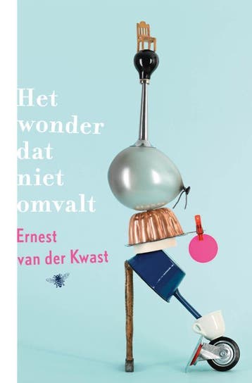 Het wonder dat niet omvalt 9789403102825, Verzenden, Gelezen, Ernest van der Kwast