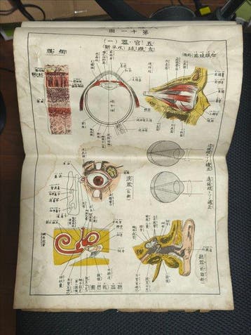 Keiji Okazaki & Aomi Kojima - Japanese Anatomical Chart Book