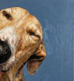 Mr Strange (XX-XXI) - Clowning