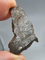 Météorite mesosidérite (NWA 18216) Pas de prix de réserve. -