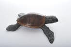 sculptuur, Turtle crawling - 22 cm - Gepatineerd brons