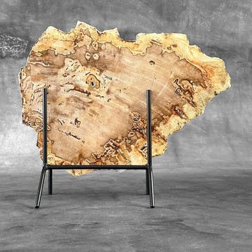 C- Magnifique grande tranche de bois pétrifié sur un socle