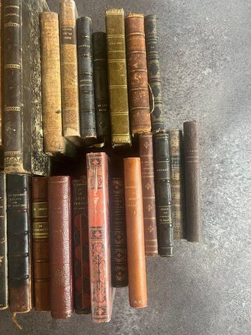 Michelet, Flaubert, Dumas, Molière, Montesquieu, Guizot,, Antiek en Kunst