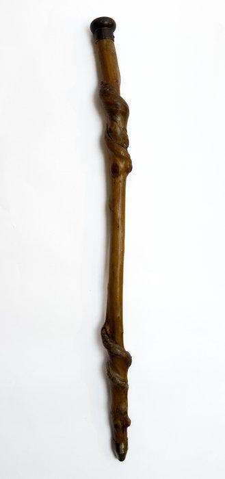 Wandelstok - Hout, Messing - Organische wandelstok, Antiek en Kunst