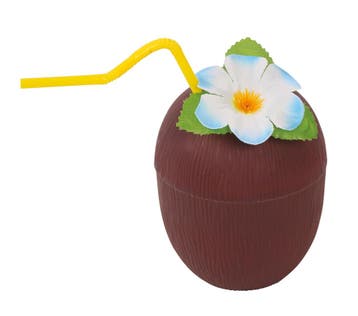 Kokosnootglas Rietje En Bloem, Verzenden