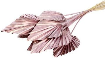 Palm Spear Palm Sun Metalic Pink Roze 10 stuks, Nieuw