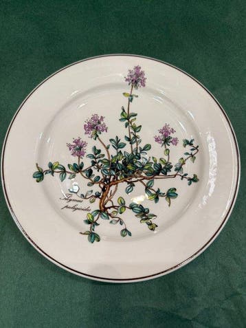 Villeroy & Boch - Botanica - Eetservies voor 6 (6) - Thymus