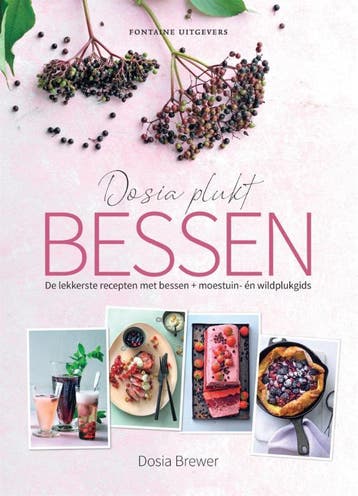 Dosia plukt bessen 9789464040425 Dosia Brewer, Verzenden, Zo goed als nieuw, Dosia Brewer