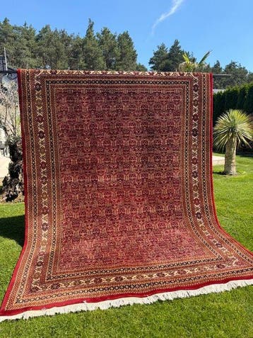 Top Indo Bidjar - Tapis - 350 cm - 250 cm, Nieuw