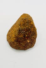 Agoudal meteoriet IJzer meteoriet - 83 g - (1), Verzamelen, Mineralen en Fossielen