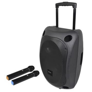 QTX QOVA 12 Draagbare Luidspreker Met 2 Microfoons USB SD BT, Musique & Instruments