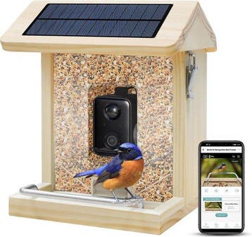 2dekans | Vogelvoederhuisje - Vogelhuisje met Camera - Hout, Animaux & Accessoires, Ophalen of Verzenden