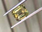 1 pcs Groen, Rood Alexandriet - 2.69 ct - International