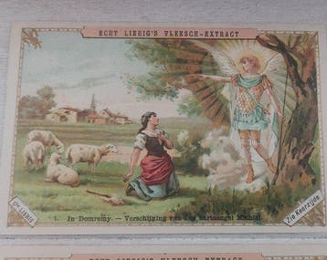 Belgique - Liebig S 270 - Jeanne dArc (néerlandais) -
