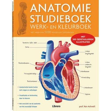 Anatomie Studieboek Werk- en Kleurboek 9789089989925, Verzenden, Zo goed als nieuw, Ken Ashwell