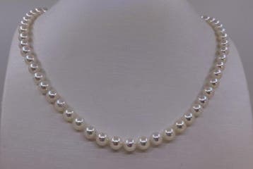 Sans prix de réserve - Collier Perles Akoya de 6,5 × 7 mm, Handtassen en Accessoires, Kettingen, Nieuw
