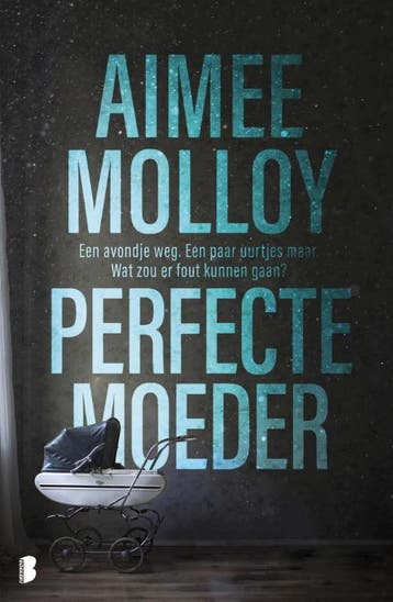 Perfecte moeder 9789022582404 Aimee Molloy, Verzenden, Gelezen, Aimee Molloy