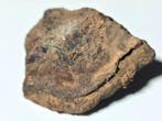 NWA-16900 BRACHINITA - 18.45 g - (1)