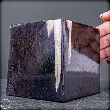 Versteend hout kubus – natuurkunst uit miljoenen jaren, Verzamelen