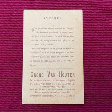 Anonymous - Cacao Van Houten - LYCÈNES - Jaren 1890