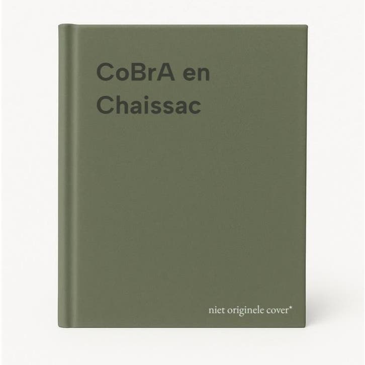 CoBrA en Chaissac 9789462623453, Boeken, Kunst en Cultuur | Beeldend, Zo goed als nieuw, Verzenden