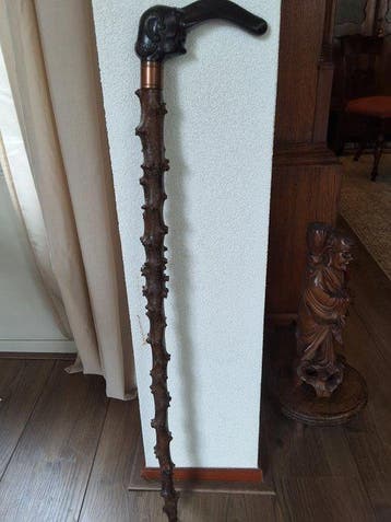 Canne de marche - Prunellier (sleedoorn), Antiquités & Art, Curiosités & Brocante
