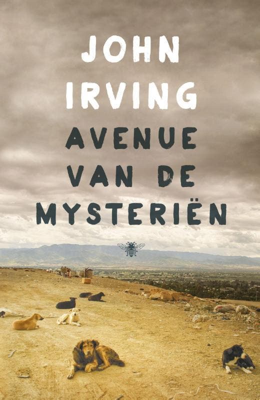 Avenue van de mysteriën 9789023497769 John Irving, Boeken, Romans, Gelezen, Verzenden