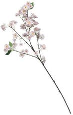 Bloesem Tak Lichtroze Ivory Lilac Zijdenbloem, Nieuw