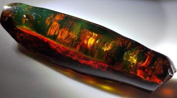 Mexicaanse Amber Chiapas!! AAA Gratis verzending!- 31 g
