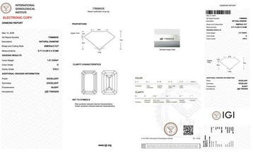 Ring - 18 karaat Witgoud - 1.72ct. tw. Diamant (Natuurlijk)