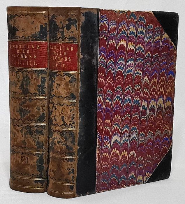 F. Edward Hulme - Familiar Wild Flowers (Complete Five, Antiquités & Art, Antiquités | Livres & Manuscrits