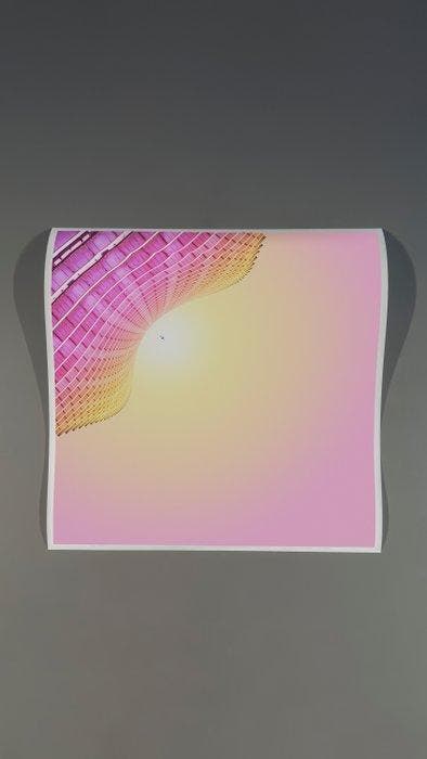 Téber - Shell (Strawberry) · No Reserve, Antiek en Kunst, Kunst | Designobjecten