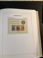 Belgique 1960/2001 - Collection de blocs 1960/2001 dans, Timbres & Monnaies
