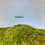 Grote partij 2,8 liter statisch gras voor