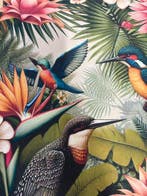 Tissu dameublement et tenture en coton doux, motif colibri