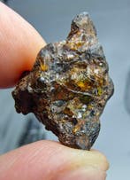 Météorite pallasite, NWA 16774. Pas de prix de réserve. -