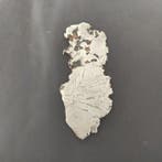 Seymchan meteoriet Plak - Hoogte: 0.03 cm - Breedte: 7 cm-