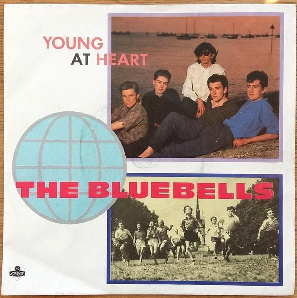 The Bluebells - Young At Heart, CD & DVD, Vinyles | Pop, Envoi
