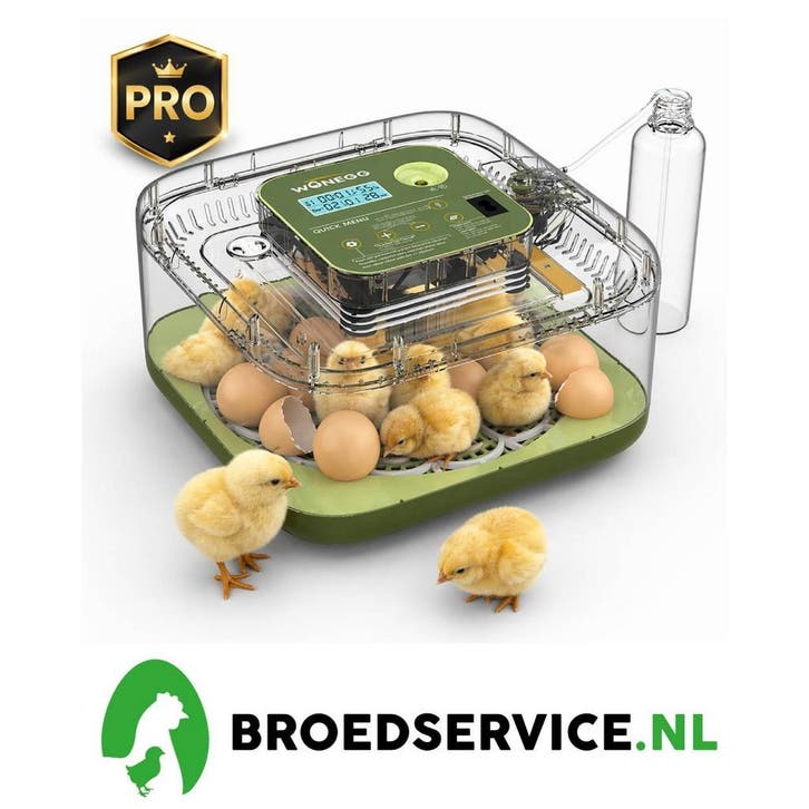 Actie! Broedmachine met digitale vochtregeling + BROEDEIEREN, Dieren en Toebehoren, Pluimvee | Toebehoren, Broedmachine, Nieuw